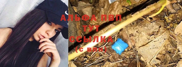 ПСИЛОЦИБИНОВЫЕ ГРИБЫ Медногорск